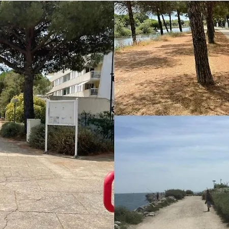 Le Grand Bleu-parking Prive-climatisation-proche Ponant Lejlighed